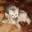 ���� ���������, �����, 70 ��� - ��������� 9 ������� 2013