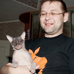 ���� ���, ������������, 53 ���� - ��������� 19 �������� 2010