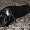 ���� Alex, �����������, 48 ��� - ��������� 13 ��� 2012 � ������ ���� ����������