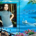 ���� ����, ������ �������� - ��������� 7 ������� 2010 � ������ ���� ����������