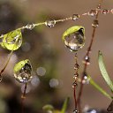 ���� �����, ������, 26 ��� - ��������� 11 �������� 2010 � ������ �����