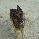 ���� ���������, ��������������, 67 ��� - ��������� 9 ���� 2010 � ������ �� � ��� ����