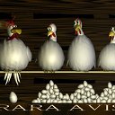 ���� ������, �����, 53 ���� - ��������� 22 ������� 2009