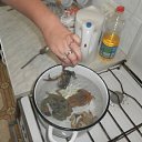 ���� �����, �������, 60 ��� - ��������� 25 ���� 2011 � ������ �������