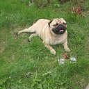 ���� ������, ������ - ��������� 14 ����� 2011 � ������ ���� � � ��� ������...�