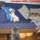 ���� ������, �����-���������, 34 ���� - ��������� 21 ������� 2009 � ������ ���� �����
