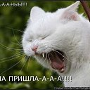 ���� �������, �����, 39 ��� - ��������� 2 ������ 2009 � ������ ��������� �����