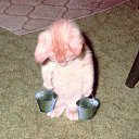 ���� ������, ������, 27 ��� - ��������� 23 �������� 2011 � ������ �������