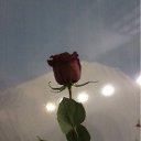 ���� ������, ������ - ��������� 28 ������� 2011 � ������ ������