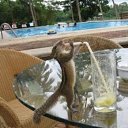 ���� ����� - ���������� ��������!!!, �����������, 56 ��� - ��������� 4 ������� 2009 � ������ ����������� :-)�