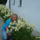 ���� ���������, ������� - ��������� 28 ��� 2012 � ������ ���� ����������