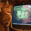 ���� �����, ��������, 43 ���� - ��������� 8 ������� 2012 � ������ ���� ����������