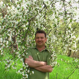 ���� ϸ��, ��������, 58 ��� - ��������� 27 ������� 2011