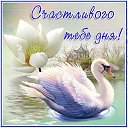      vk.com/fotomimi      