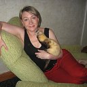  , , 53  -  9  2013   .