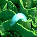 ���� ����, �����, 28 ��� - ��������� 20 ������ 2010 � ������ ���� ����������