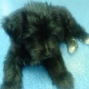 ���� ������, �������, 29 ��� - ��������� 11 �������� 2010 � ������ �������