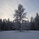 ���� ��������, �����������, 57 ��� - ��������� 18 ���� 2013 � ������ ���� ����������