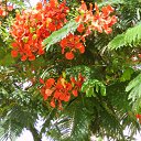 ���� Natali, ������ - ��������� 1 ���� 2010 � ������ ������-��� ������.....�