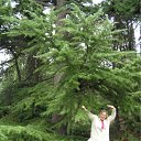 ���� �������, ������, 66 ��� - ��������� 21 �������� 2011