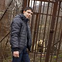 ���� ����, ������-��-����, 37 ��� - ��������� 20 ������ 2013 � ������ ��������