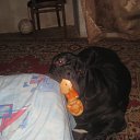 ���� ������, ������-��-����, 45 ��� - ��������� 21 ������ 2011 � ������ �����