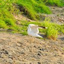 ���� ��������, ������ - ��������� 11 �������� 2011 � ������ �������� ����˨���