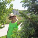 ���� ������, ������, 49 ��� - ��������� 18 ���� 2013 � ������ �������