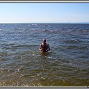 ���� �������, ������ - ��������� 31 ������� 2010 � ������ ���� ����������