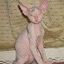 ���� Thumbelina, �����-���������, 52 ���� - ��������� 17 ������ 2011 � ������ �*******�