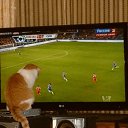 ���� Jhjh, ������ ��������, 52 ���� - ��������� 7 ������ 2013 � ������ ���� ����������