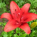 ���� Serg, ����, 59 ��� - ��������� 19 ����� 2012 � ������ ���� ����������