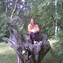 ���� ���������, �����-���������, 49 ��� - ��������� 23 ���� 2012 � ������ ���� ����������