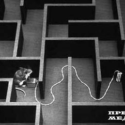 ���� ���������, ��������, 27 ��� - ��������� 17 ������ 2009