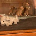 ��� ����� ����� � �������� �� ������� ������!!!!!!!!!!!!!!!!!!!!!!!!!!!!!!!!!!!!!!!!!!!!!!!!!!!�