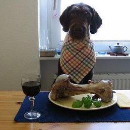 ���� ���, �����������, 48 ��� - ��������� 4 ������� 2011