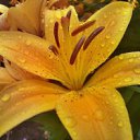 ���� �������, ������ - ��������� 6 ������� 2012 � ������ �������