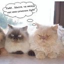 ���� ������, ����� - ��������� 24 ����� 2013 � ������ �������