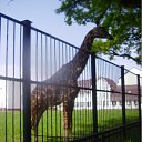 ���� �������, ����������� - ��������� 22 ��� 2011 � ������ �� �������� � � ������� �������