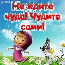 ������, �������, 48 ���