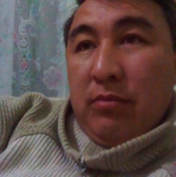 ������, �����, 47 ���