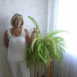 ���� ����, ������ - ��������� 4 ������� 2013