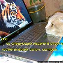 ���� �����, ������������ - ��������� 17 ���� 2010 � ������ ��������