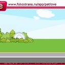 ���� ���������, �����, 39 ��� - ��������� 6 ������ 2011 � ������ �PetLove�