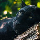 ���� ������, ������ - ��������� 9 ������ 2013 � ������ ���������