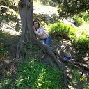 ���� ����, ��������������, 37 ��� - ��������� 9 ��� 2010 � ������ ���� ����������