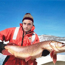 ���� ������, ������������, 39 ��� - ��������� 5 ������� 2012