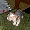 ���� �������, �����-���������, 48 ��� - ��������� 24 ������� 2011 � ������ �������