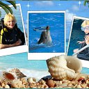  , -, 64  -  21  2011    