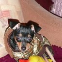  ,  , 56  -  30  2012    